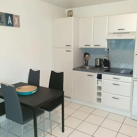 Apartment Petits Roseaux Parking Terrasse